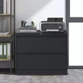 Lateral File Cabinet 2 Drawer, Filing Cabinet with Lock for Home Office, Locking Metal File Cabinet