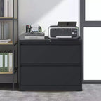 Lateral File Cabinet 2 Drawer, Filing Cabinet with Lock for Home Office, Locking Metal File Cabinet